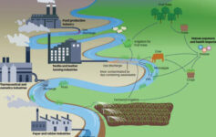 特制的木质粉末可去除纺织业废水中的染料