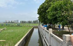 农村生活污水治理设施要适合农村特点