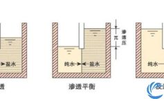 全面解析反渗透膜内部结构及工作原理