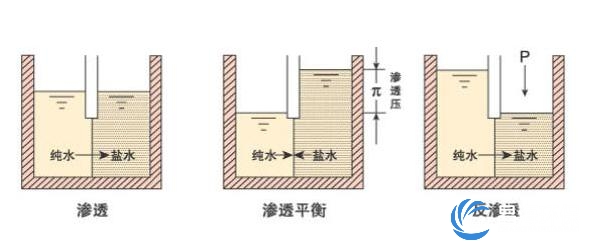 反渗透脱盐的原理