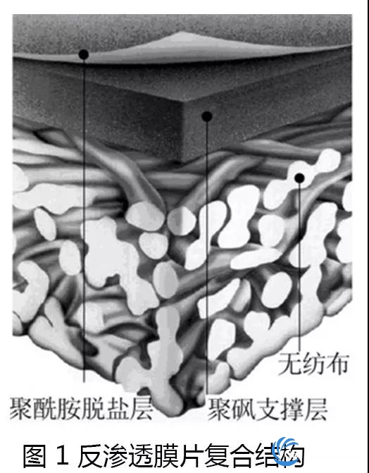 反渗透复合膜结构