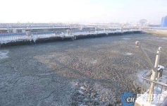 氨氮废水的来源与危害
