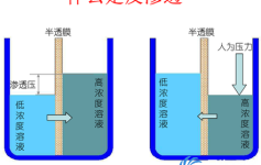 浅析RO反渗透的原理及特点