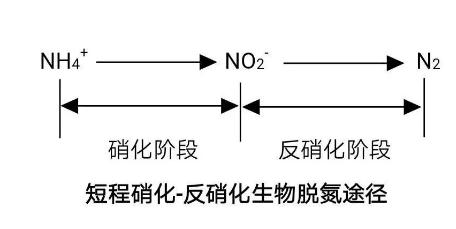 短程硝化反硝化