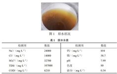 高盐废水脱盐分质处理纳滤反渗透集成膜系统处理