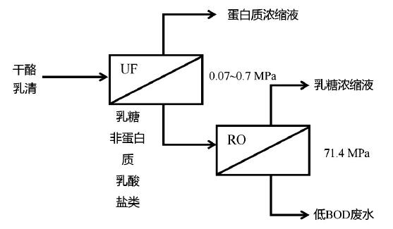 提取高纯度乳清蛋白及乳糖工艺流程图