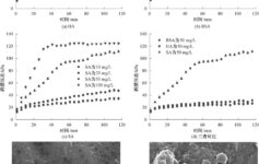 超滤工艺处理西江原水的膜污染规律