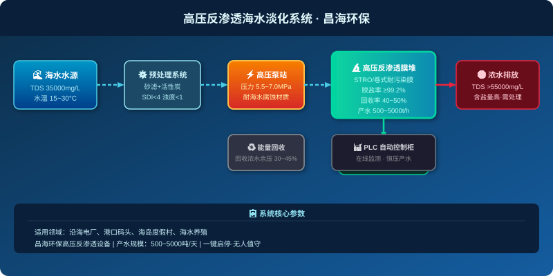 海水淡化高压反渗透系统工艺流程图