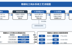 精细化工纯水为什么总是达标不稳定？A+C组合方案如何实现3年免故障运行