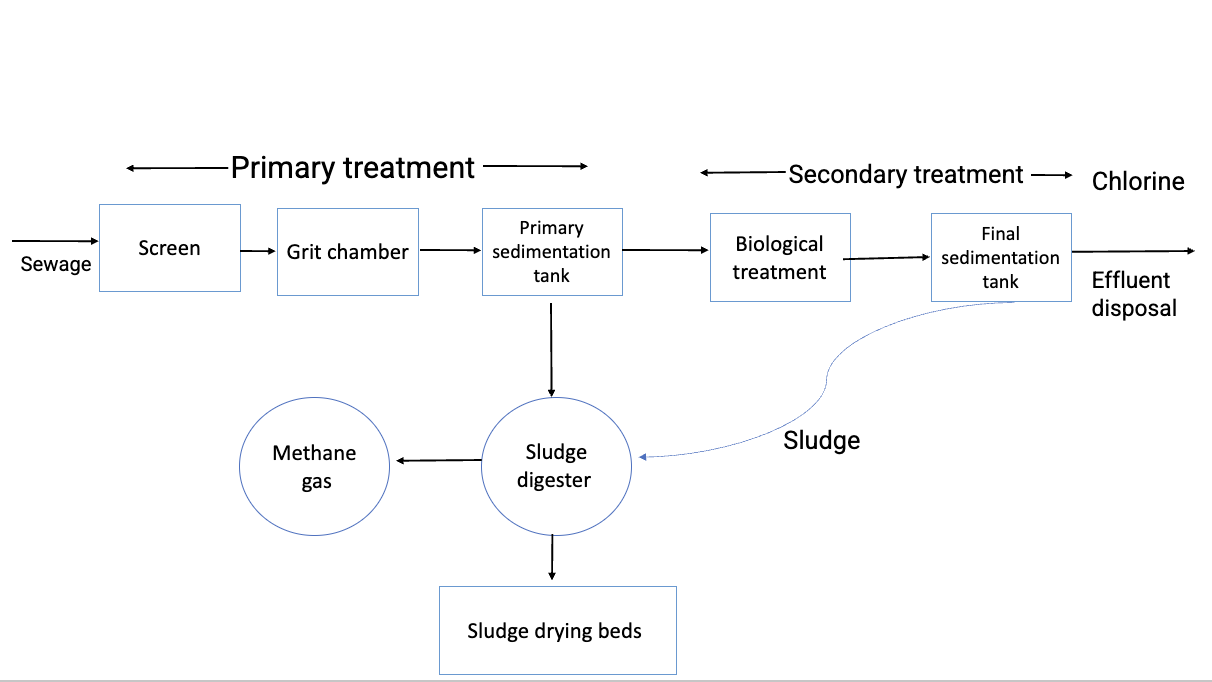 Flow diagram of a modern sewage treatment plant from Wikimedia Commons - CC BY-SA 4.0