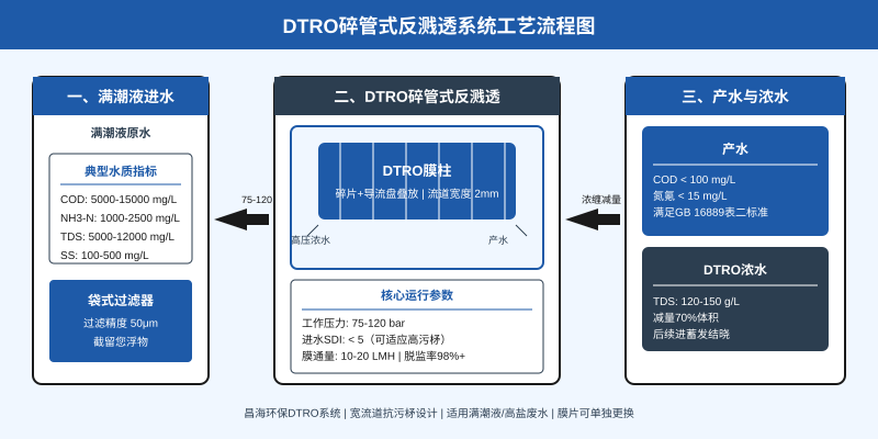 DTRO碟管式反渗透系统工艺流程图,展示渗滤液从进水、DTRO处理到产水与浓水的完整工艺路线