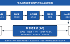 食品厂反渗透用水3个工艺段常被忽略：年损失百万的隐性成本,从砂滤前置开始算账