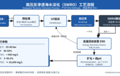 海岛/沿海项目用高压反渗透海水淡化，为什么3年内电费能多花40万？
