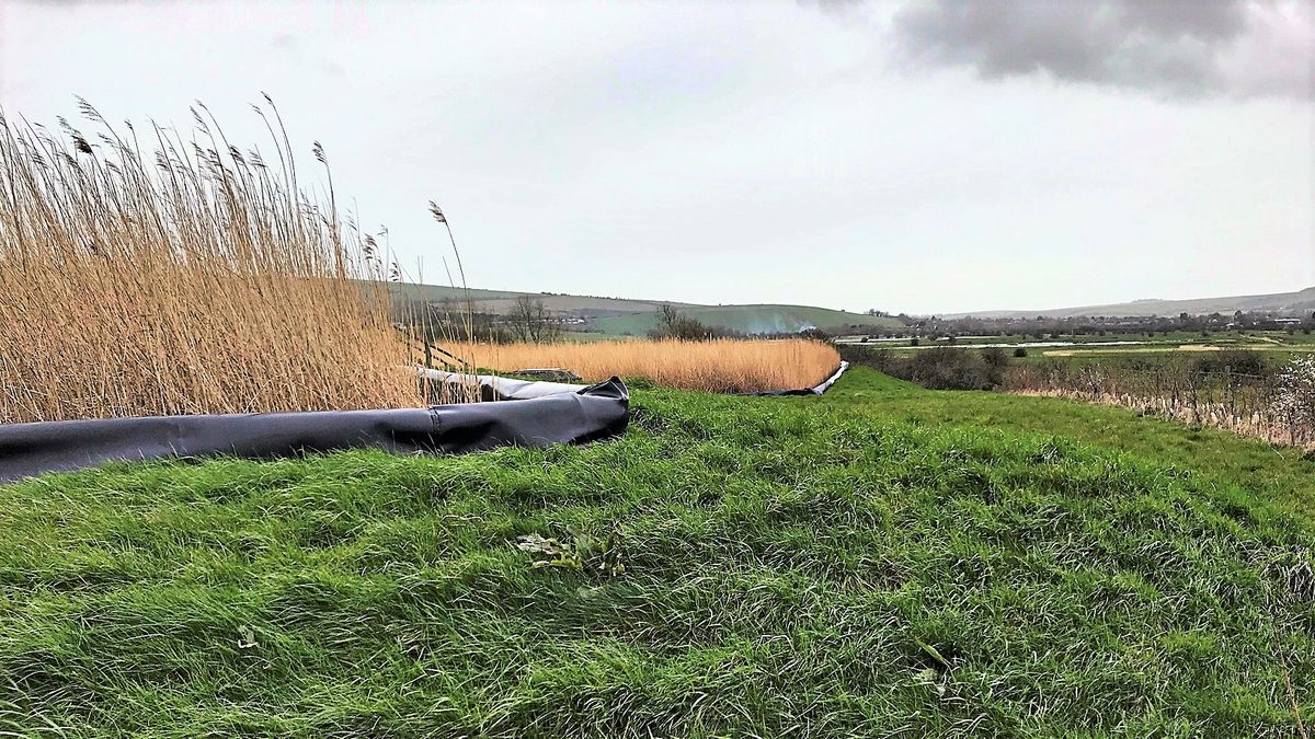 Horton Leachate Treatment Plant reed beds, photo from Wikimedia Commons, CC BY-SA 2.0