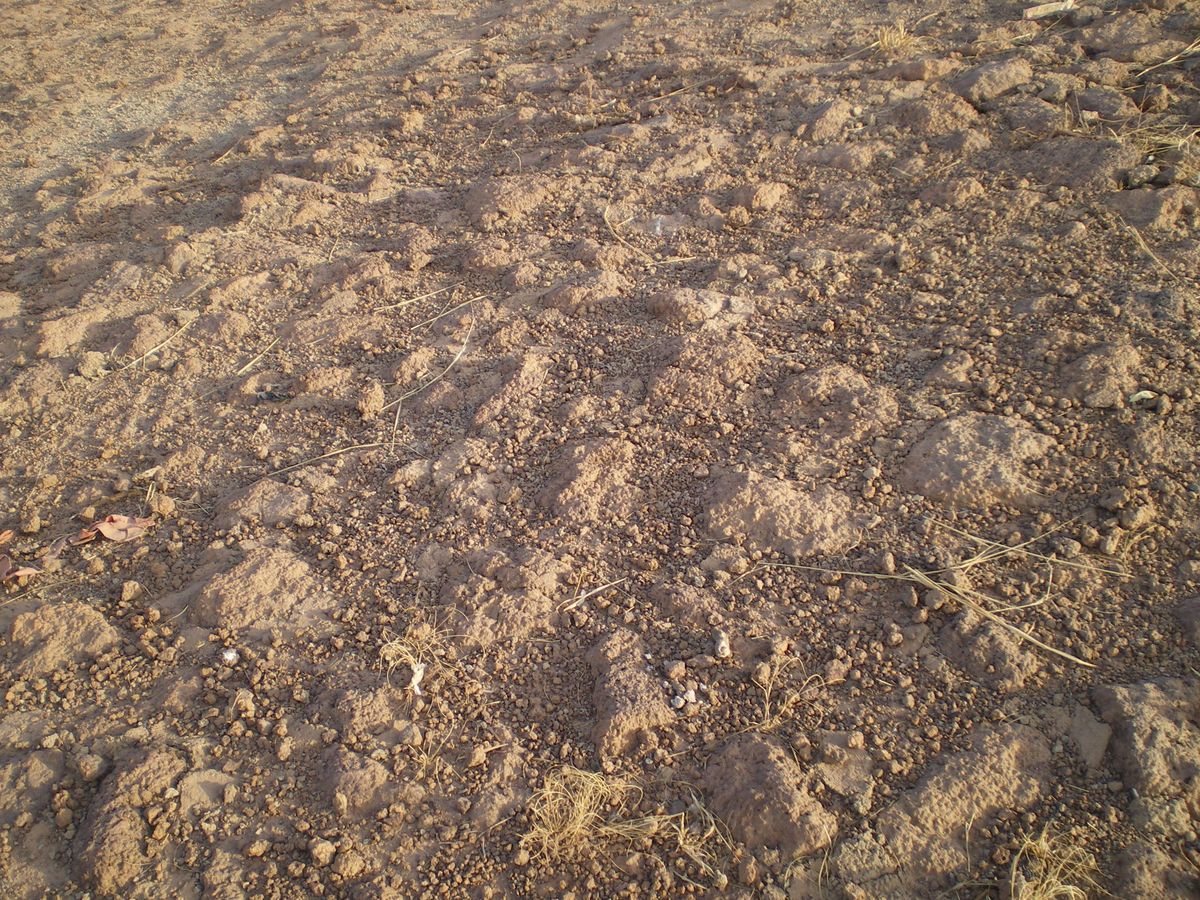 Landfill leachate treatment facility impermeable floor