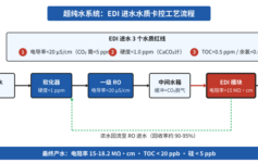 超纯水 EDI 产水电阻率从 18.2 MΩ·cm 掉到 15？3 个进水红线 + 1 张水质卡控表