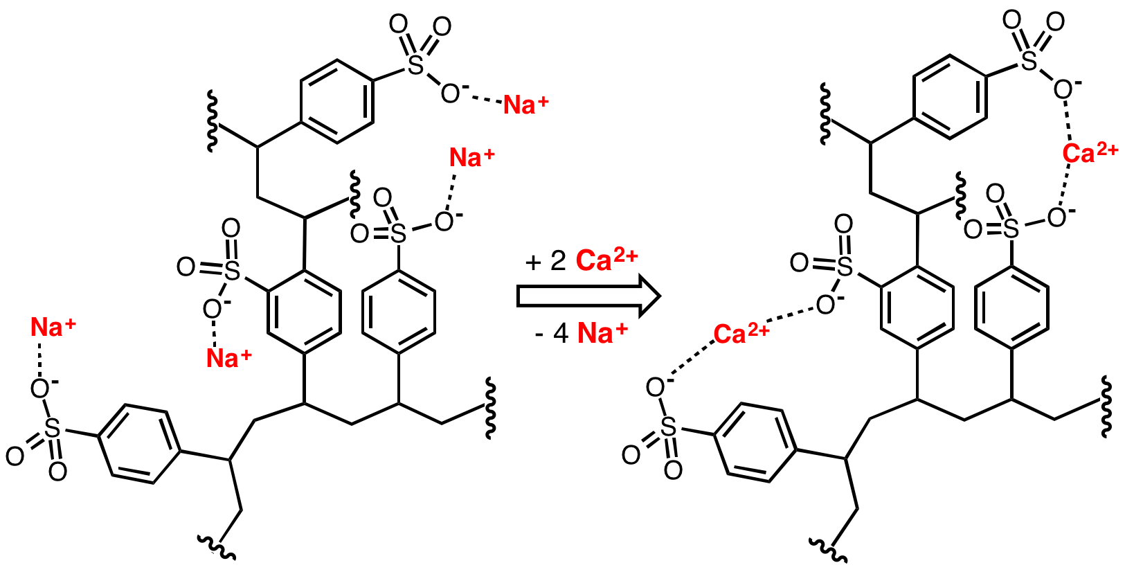 Cation exchange ion exchange reaction Na resin Ca water softener