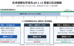 反渗透膜化学清洗 pH 1-13 宽窗口只用一半？3 个项目实战揭密膜寿命延长 50% 的关键