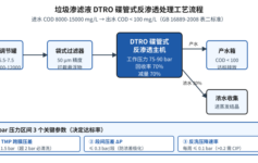 DTRO渗滤液达标率仅40% 3个75bar